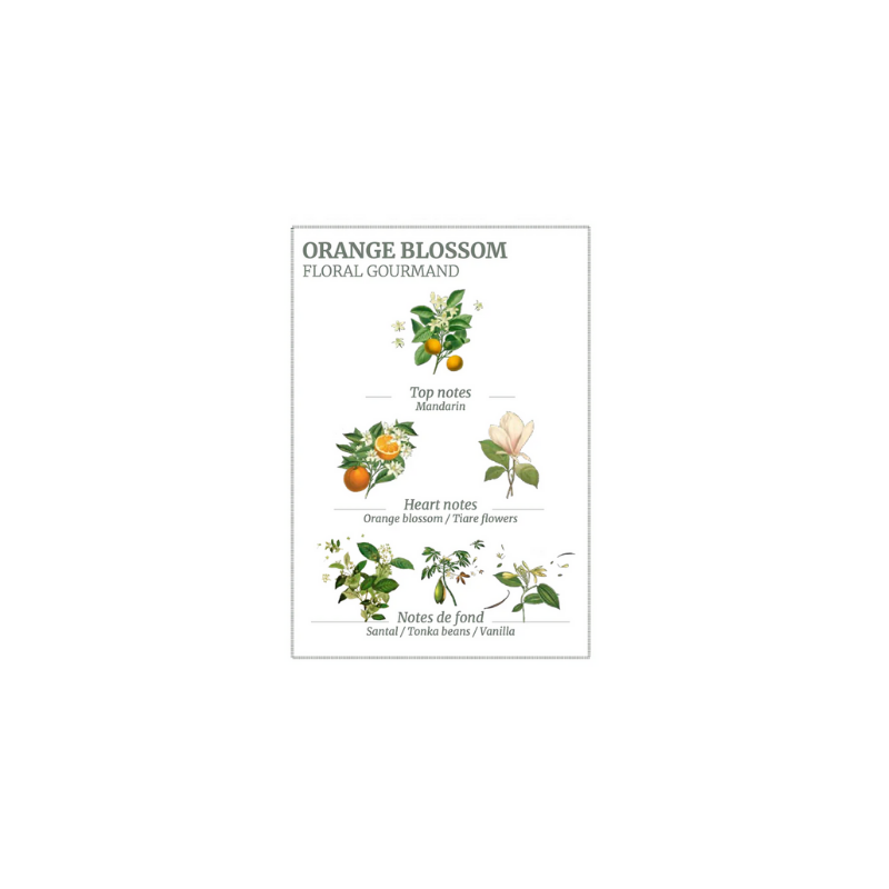 Orange Blossom Marseille Liquid Soap