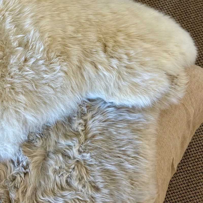 Long Wool Single Rug – Frappe