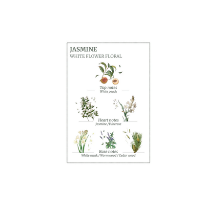 Precious Jasmine Marseille Liquid Soap