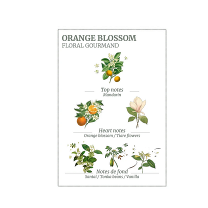Orange Blossom Perfumed Soap